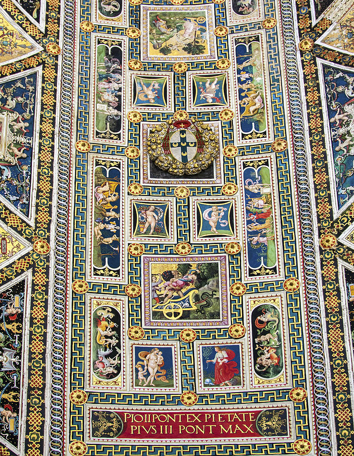 Intricate Ceiling Frescoes Photograph by Sally Weigand