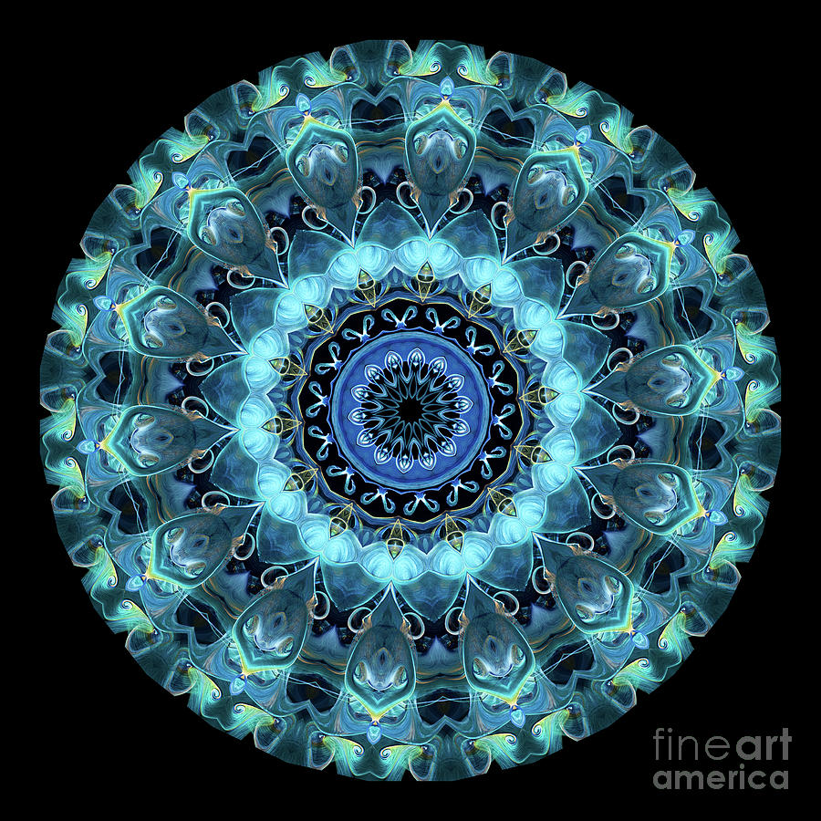 Intricate1 blue and aqua mandala kaleidoscope Digital Art by Amy Cicconi