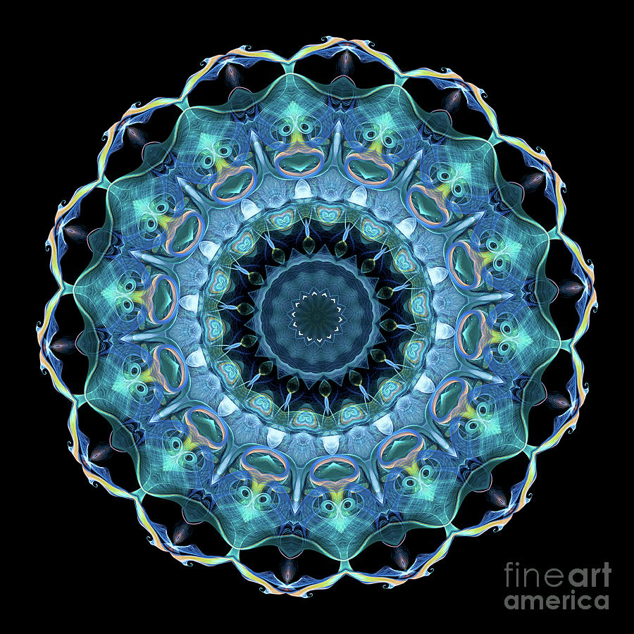 Intricate10 blue and aqua mandala kaleidoscope Digital Art by Amy Cicconi