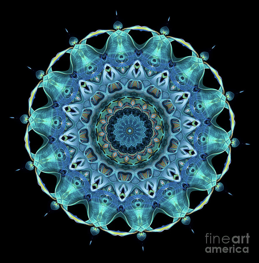 Abstract Digital Art - Intricate13 blue and aqua mandala kaleidoscope by Amy Cicconi