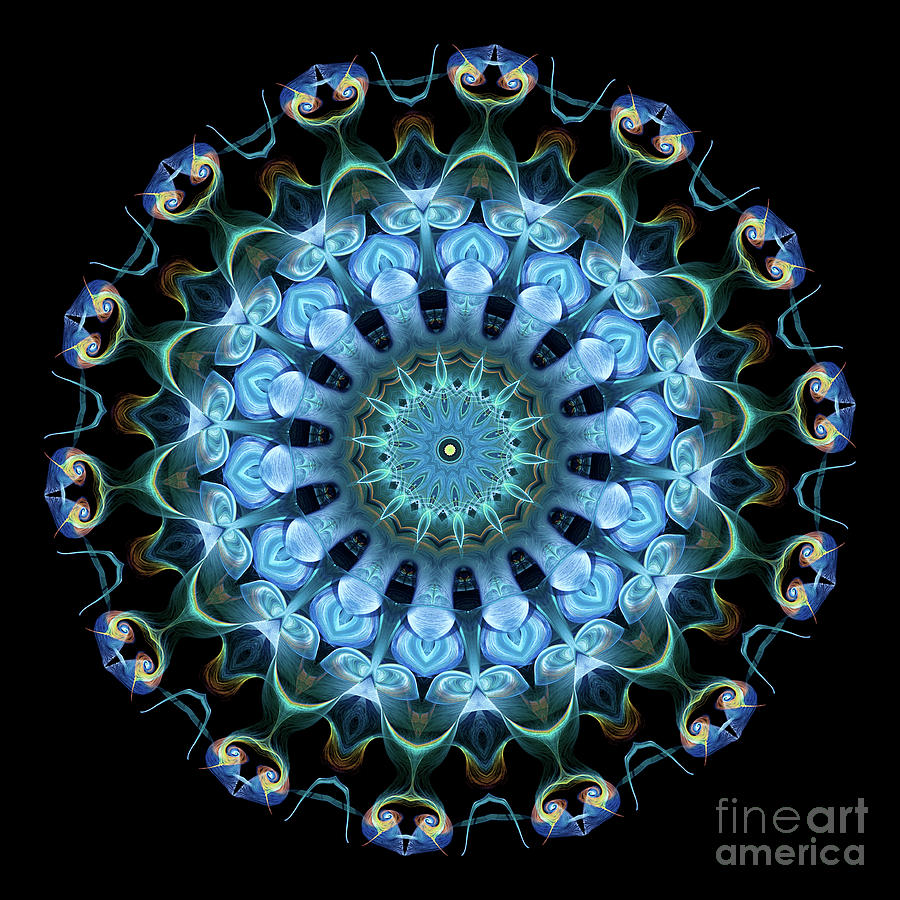 Intricate14 blue and aqua mandala kaleidoscope Digital Art by Amy Cicconi