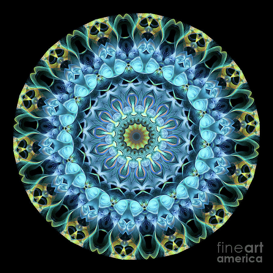 Intricate15 blue and aqua mandala kaleidoscope Digital Art by Amy Cicconi