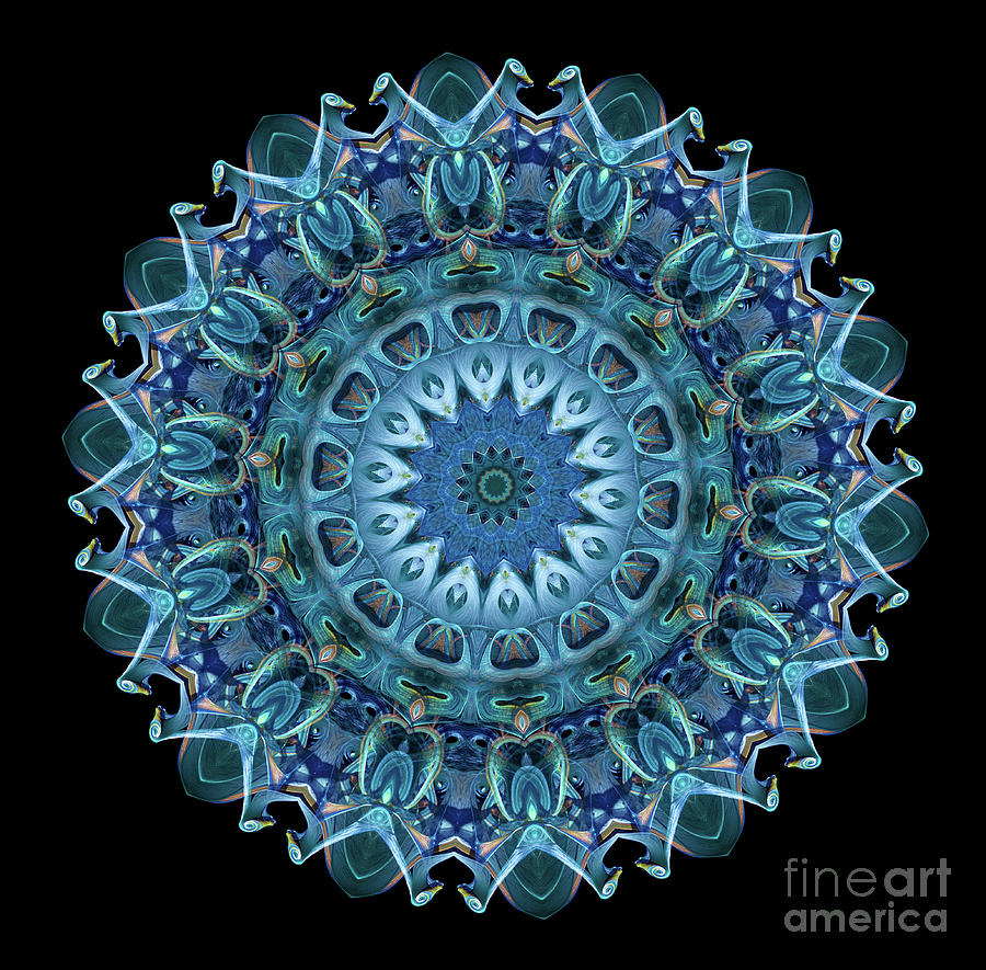 Intricate2 blue and aqua mandala kaleidoscope Digital Art by Amy Cicconi