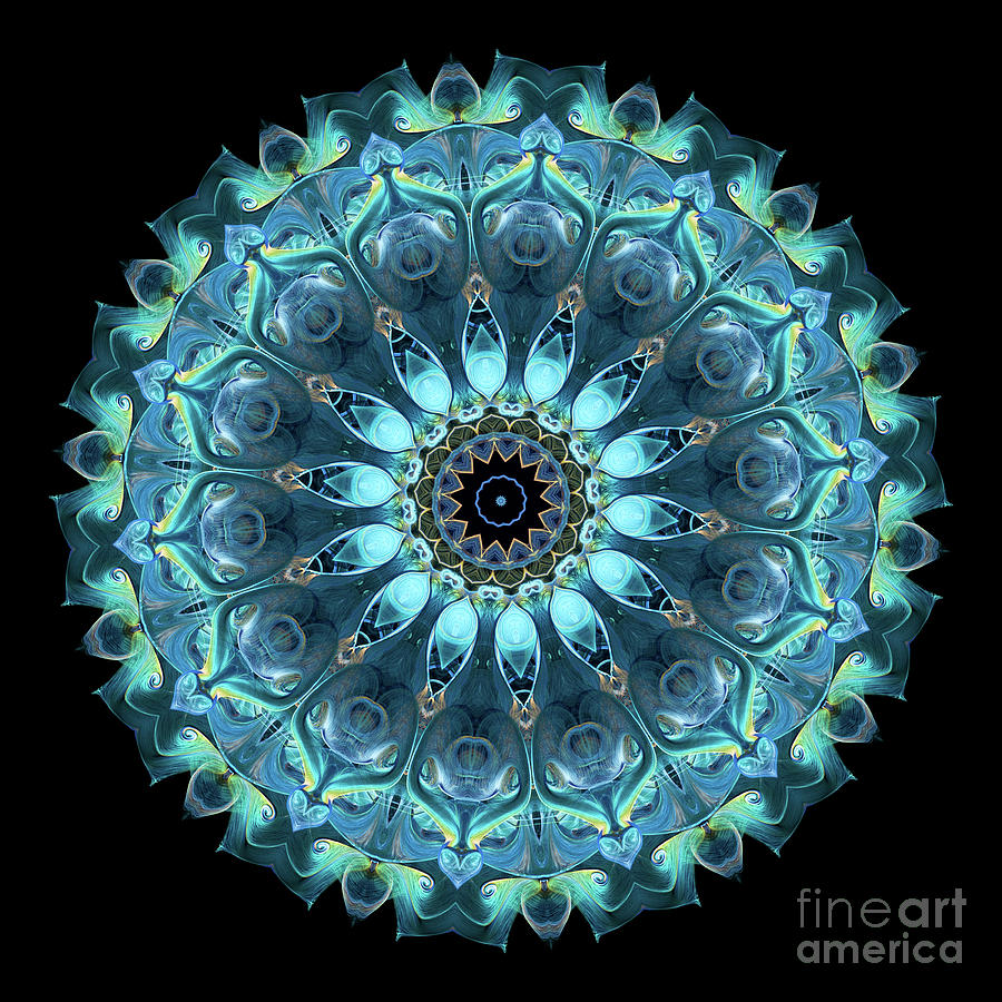 Intricate3 blue and aqua mandala kaleidoscope Digital Art by Amy Cicconi