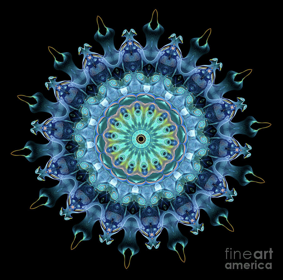 Intricate4 blue and aqua mandala kaleidoscope Digital Art by Amy Cicconi