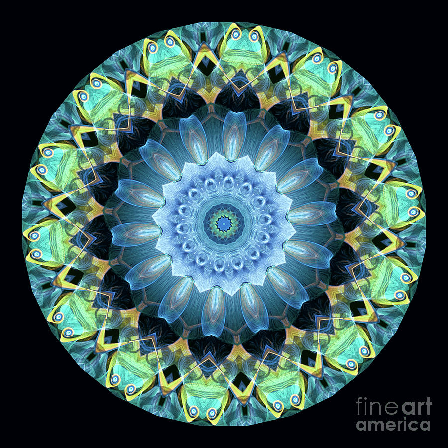 Abstract Digital Art - Intricate8blue and aqua mandala kaleidoscope by Amy Cicconi