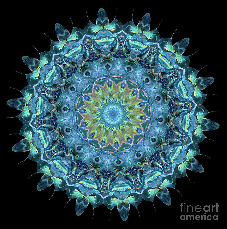 Intricate9 blue and aqua mandala kaleidoscope Digital Art by Amy Cicconi