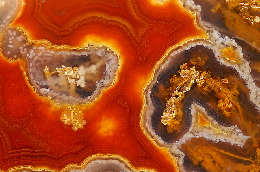 Agate Photograph - Introspection by Bill Morgenstern