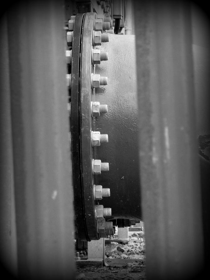 Intustrial screws Photograph by Lukasz Ryszka