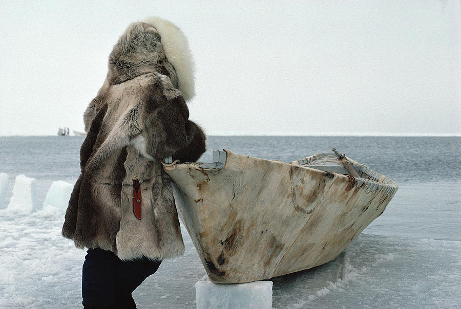 Inuit Hunter In Traditional Clothes Photograph by Flip Nicklin