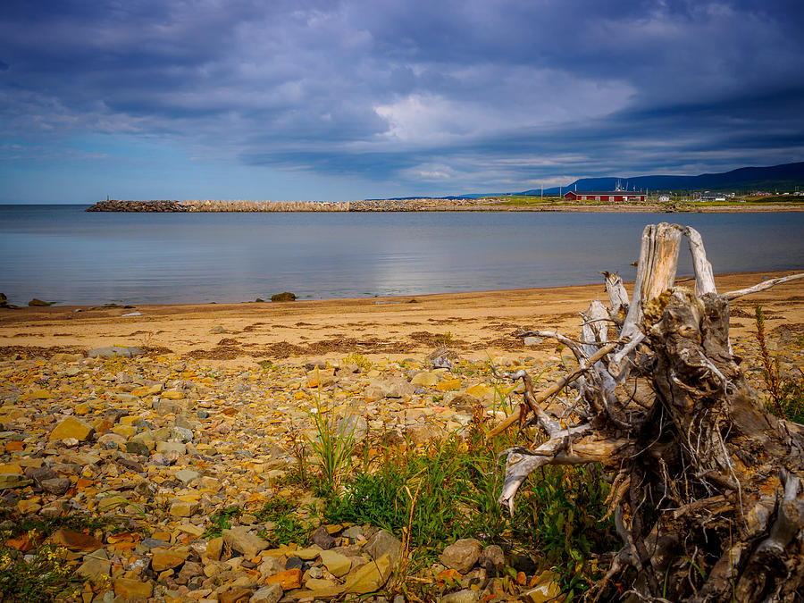 Inverness Beach Photograph by Mark Llewellyn