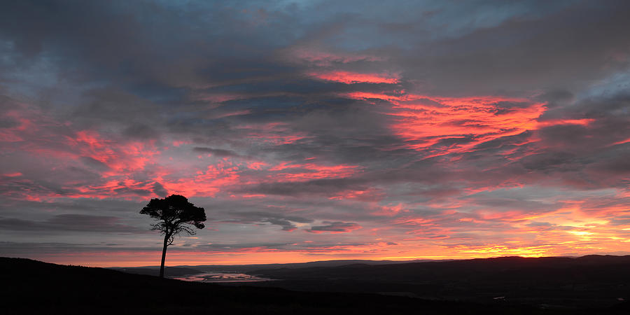 Inverness Sunrise Photograph by Gavin MacRae