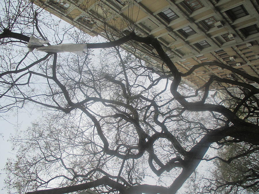 Old Building Photograph - Inverted Lisbon with buildings and trees by Anamarija Marinovic