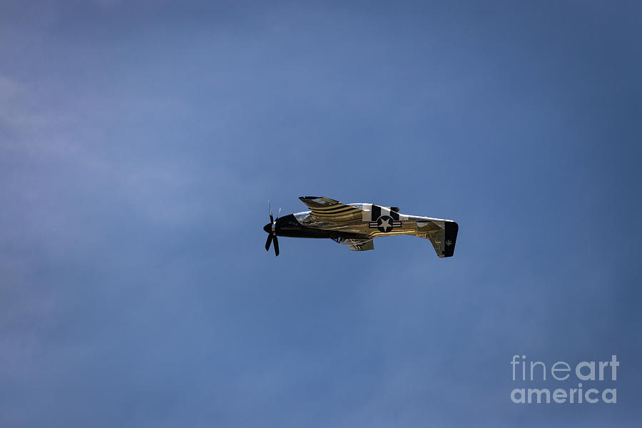 Inverted Mustang Photograph by Andrea Silies