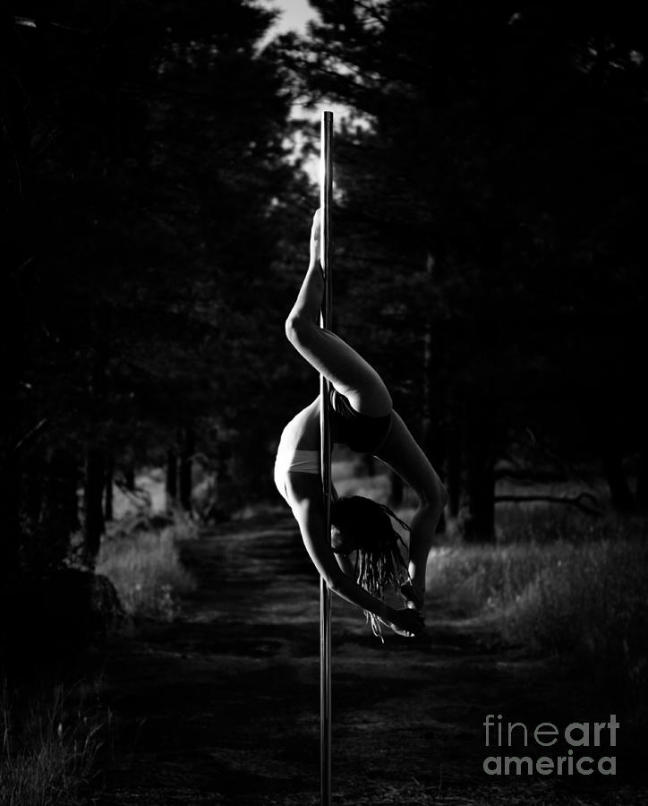 Inverted pole dance in forest Photograph by Scott Sawyer