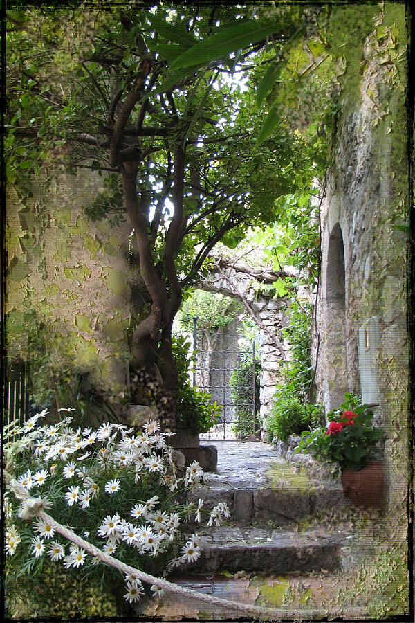 Inviting Courtyard Photograph by Carla Parris