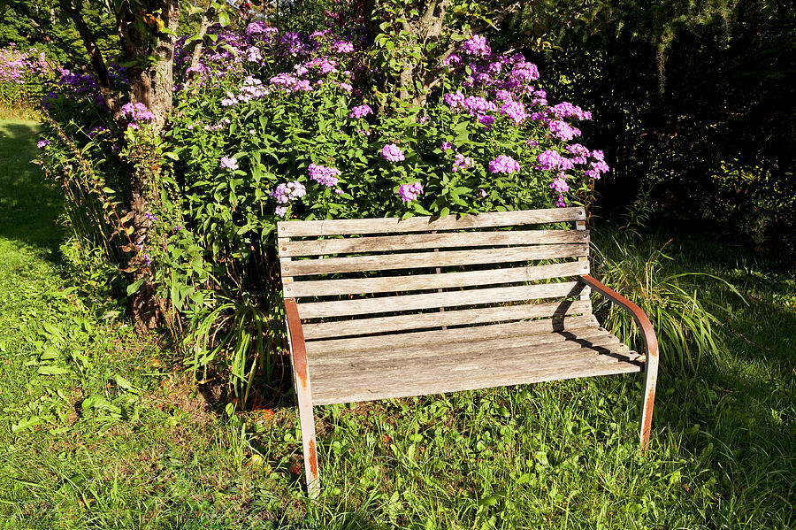 Inviting Garden Bench Photograph by Alan L Graham