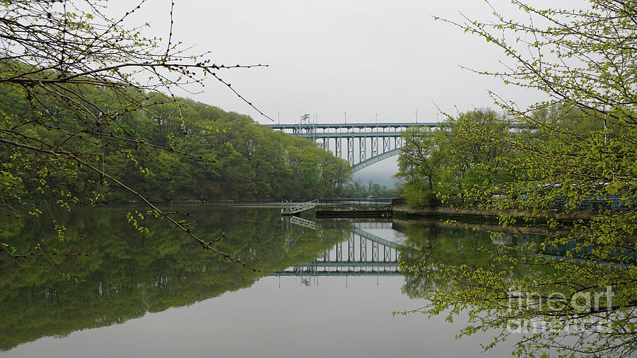 Inwood Hill Photograph by Cole Thompson