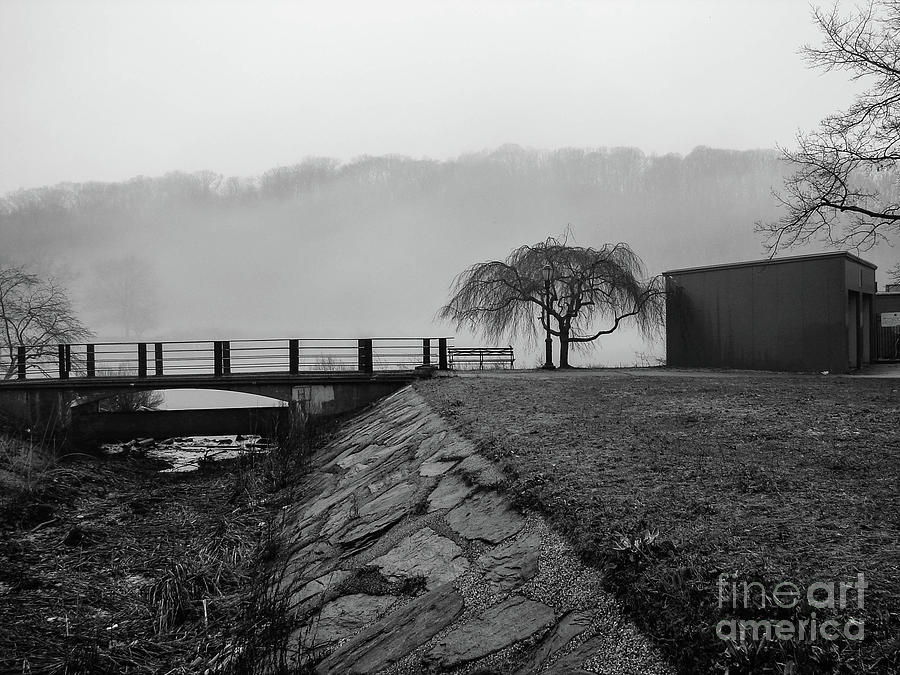 Inwood Hill Park in Fog Photograph by Cole Thompson