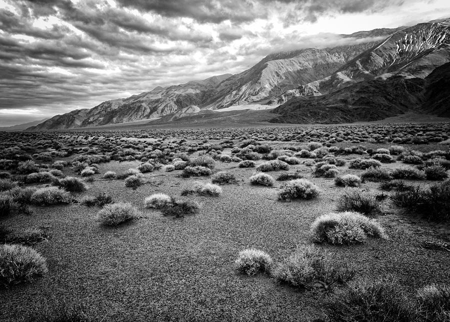 Black And White Photograph - Inyo Mountain Morning in Black and White by Troy Montemayor