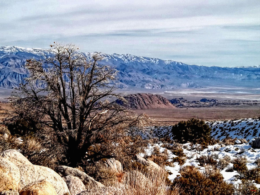 Inyo Mountains - Owens Valley Photograph by Glenn McCarthy Art and Photography