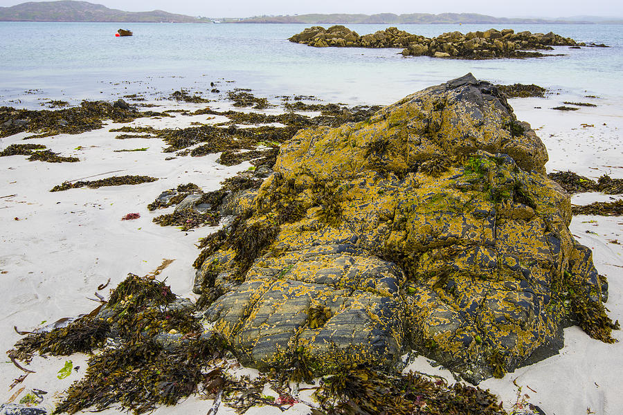 Iona Beach Rock II Photograph by Steven Ainsworth