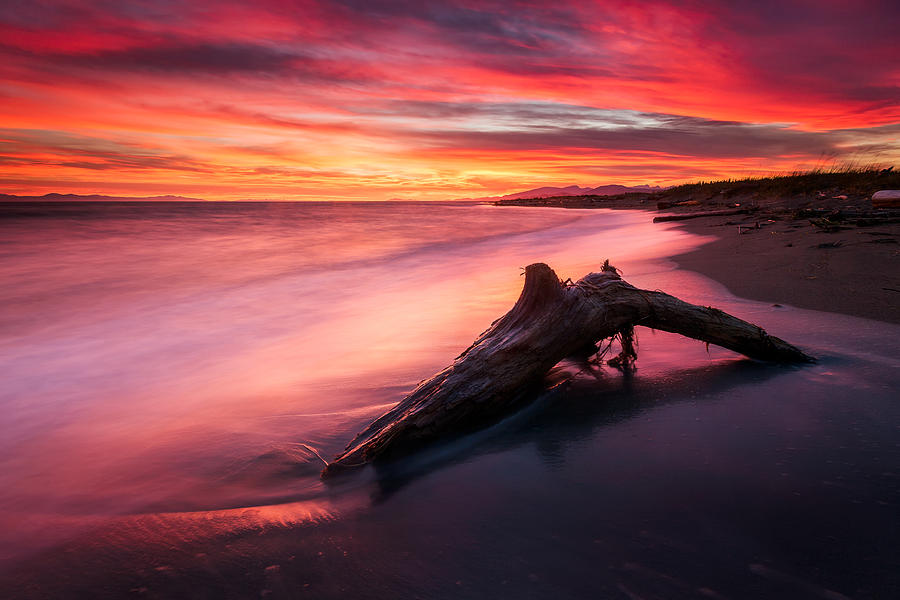 Iona Beach Sunset Photograph by Alexis Birkill