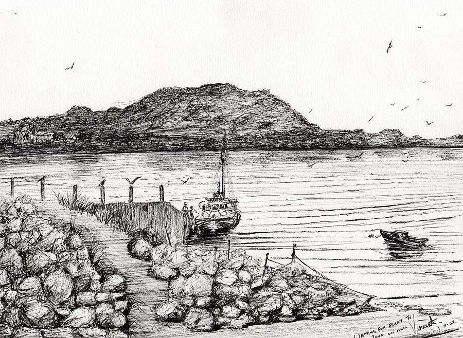 Seagull Drawing - Iona from Mull by Vincent Alexander Booth