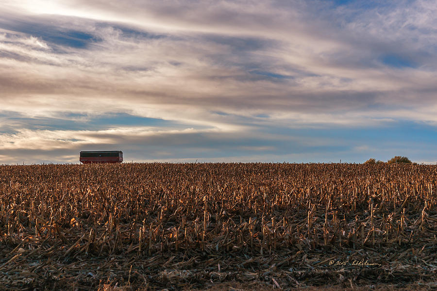 Fall Photograph - Iowa Corn Fields In The Fall by Ed Peterson