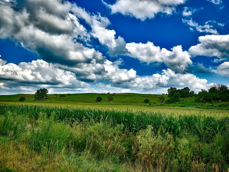 Iowa Cornfield Photograph by Mountain Dreams