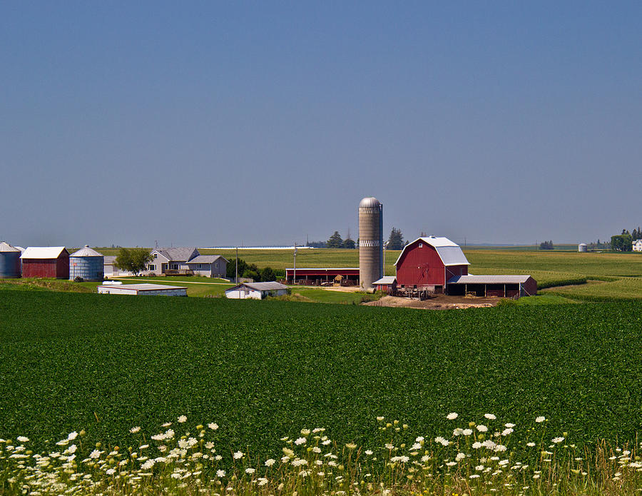 Iowa Farm Photograph by Dave Lines
