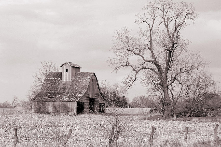 Iowa Farm Photograph by Jame Hayes