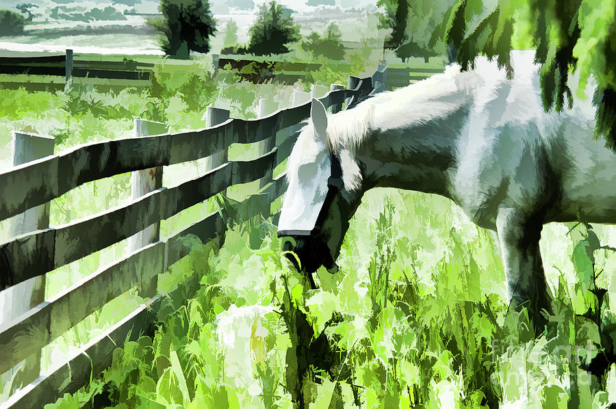 Iowa Farm Pasture and White Horse Digital Art by Wilma Birdwell