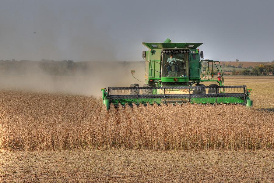 Iowa Soybean Harvest Photograph by J Laughlin
