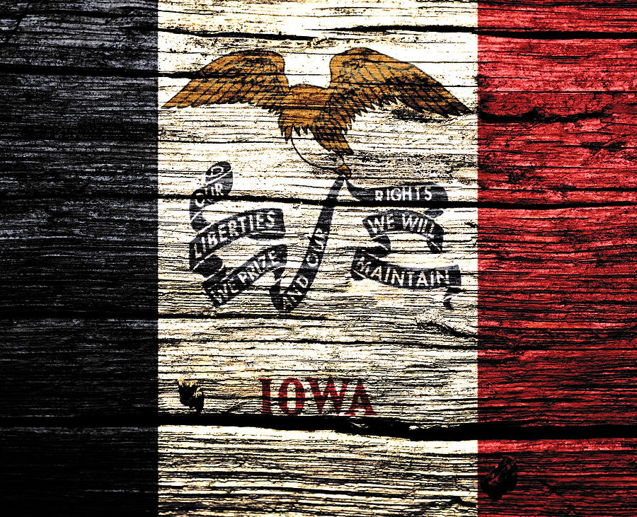 Iowa State Flag 1w Mixed Media by Brian Reaves