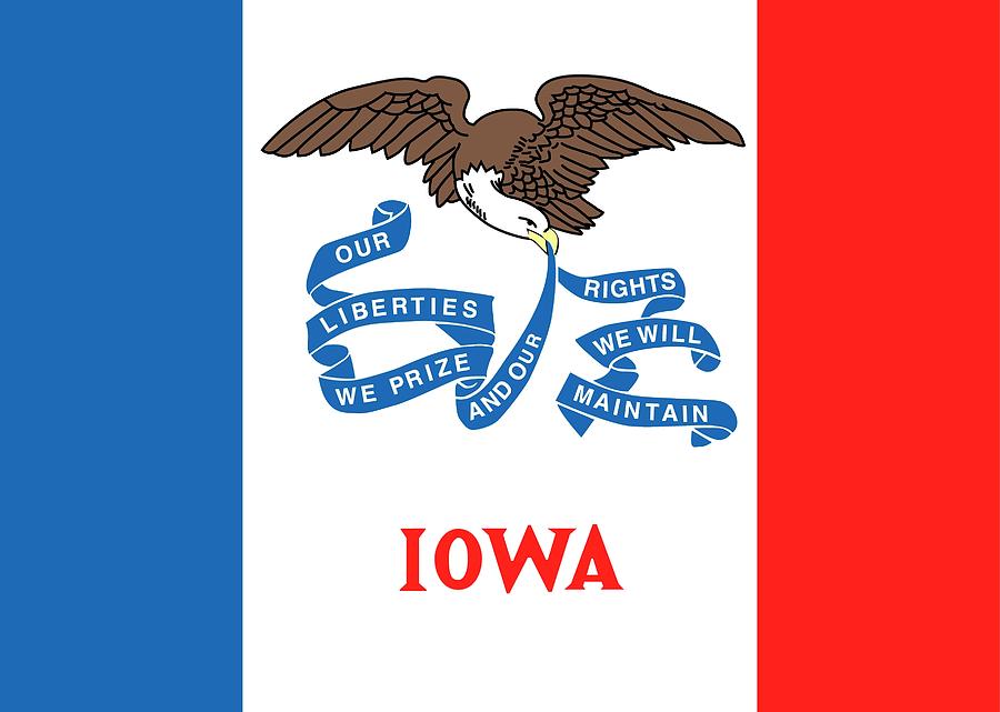 Iowa state flag Painting by American School