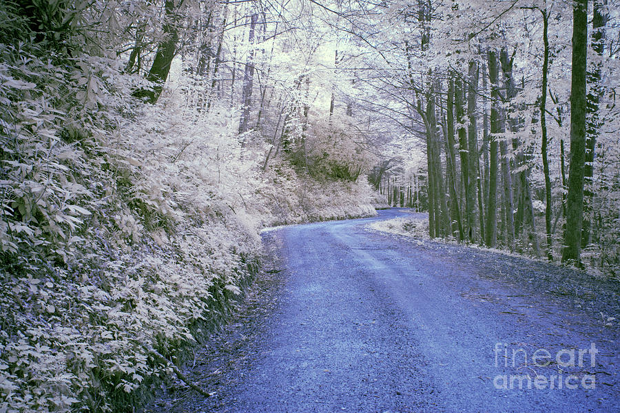 IR Country Road Photograph by FineArtRoyal Joshua Mimbs