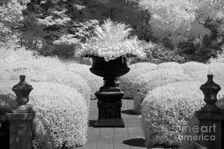 IR Mansion Gardens Photograph by FineArtRoyal Joshua Mimbs