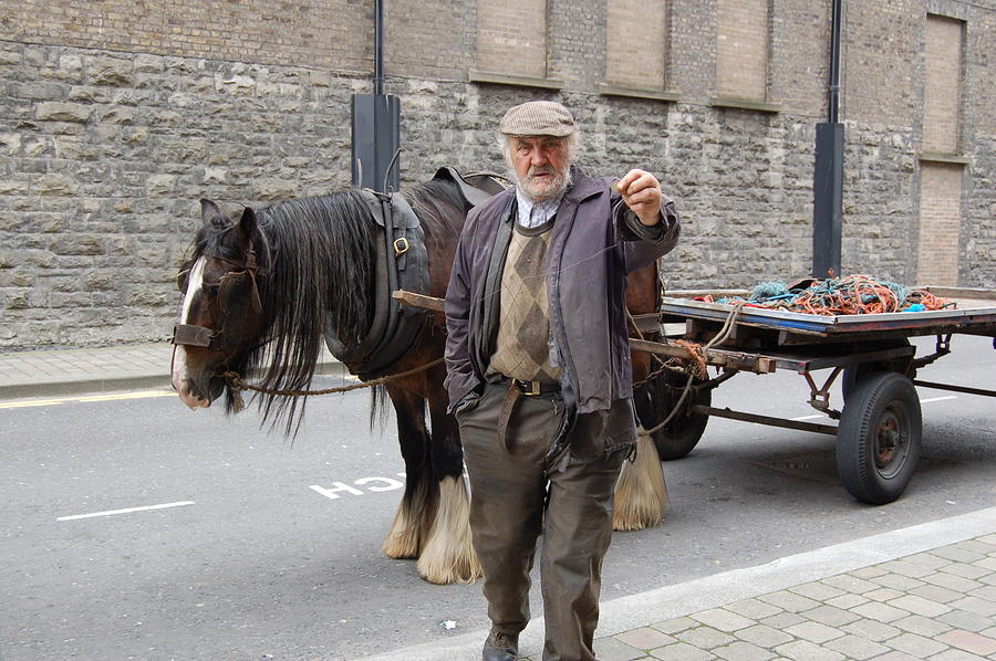 Horse Photograph - Ireland - Poor Irish Man by Linda Rutledge
