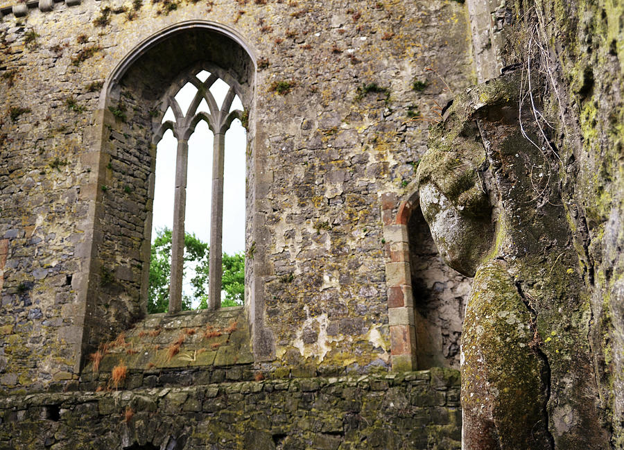 Ireland Athassel Priory Tipperary Medieval Ruins Profile of St Joseph Statue Gothic Window Photograph by Shawn OBrien