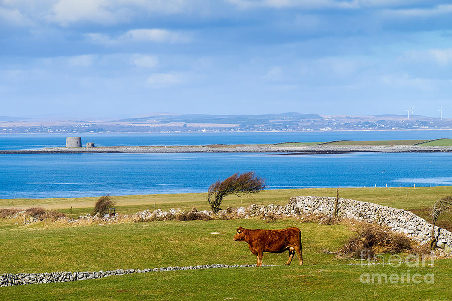 Ireland - Galway Bay Photograph by Juergen Klust