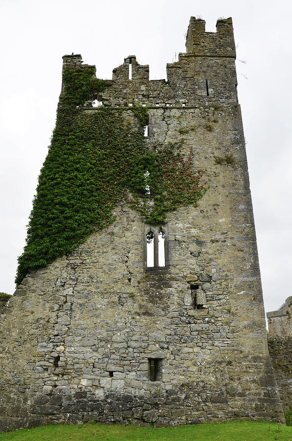 Ireland Kells Priory Ivy Covered Medieval Castle Tower House County Kilkenny Photograph by Shawn OBrien