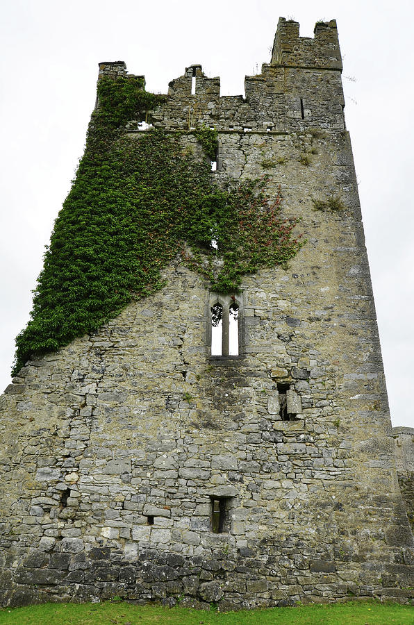 Ireland Kells Priory Ivy Covered Medieval Irish Castle Tower House County Kilkenny Photograph by Shawn OBrien