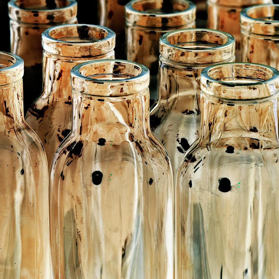 Iridescent bottle Parade Photograph by Heiko Koehrer-Wagner