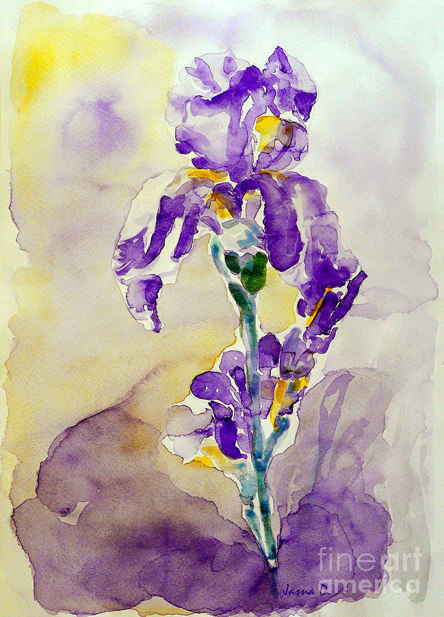 Nature Painting - Iris 2 by Jasna Dragun