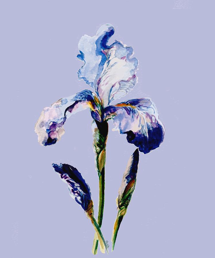 Iris A Painting by Mary Armstrong