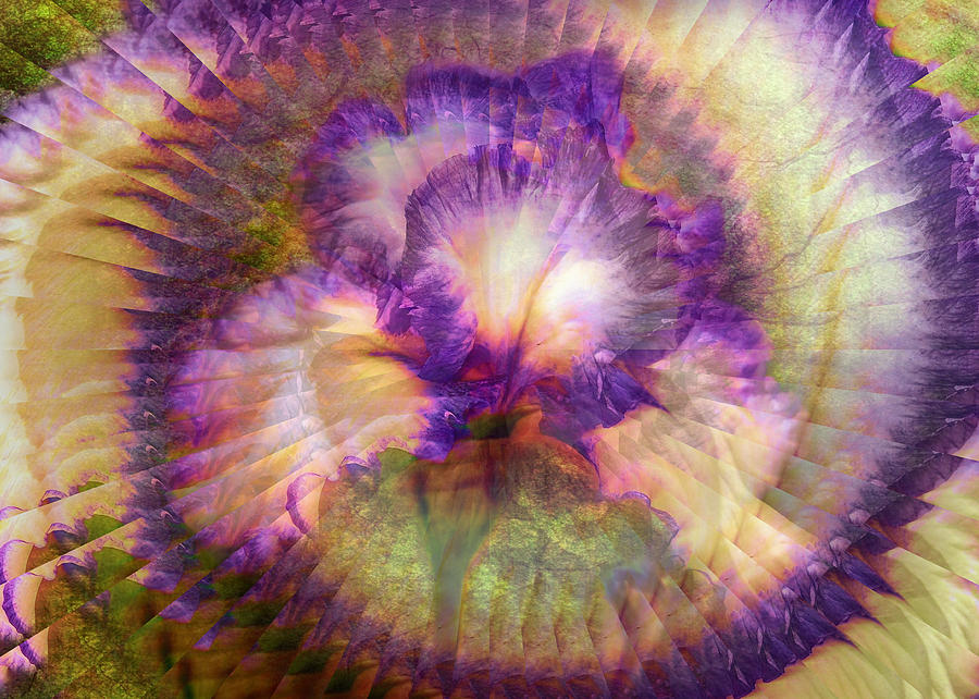 Iris - abstract flower Digital Art by Lilia S