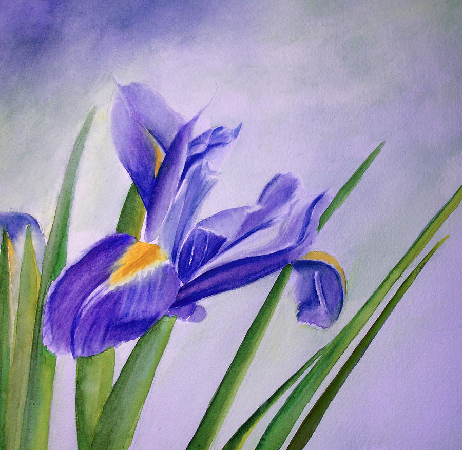 Iris Painting by Allison Ashton