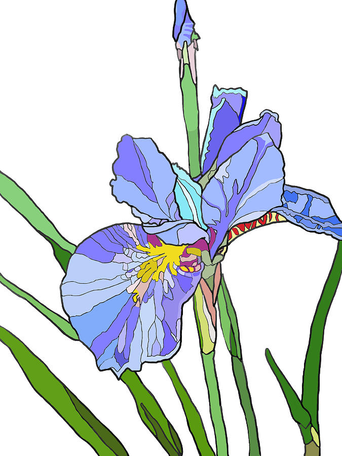 Iris and Bud Painting by Jamie Downs
