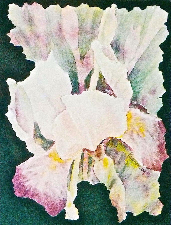 Iris and Buds Painting by Carolyn Rosenberger